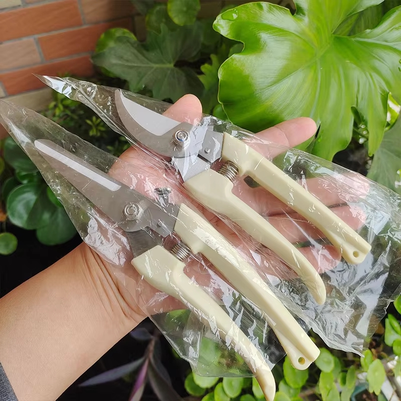 Gardening Tools To Cut Branches - ステンレス鋼の剪定鋏、フラワーアレンジメント、果樹の枝切り、接ぎ木用の園芸用はさみ