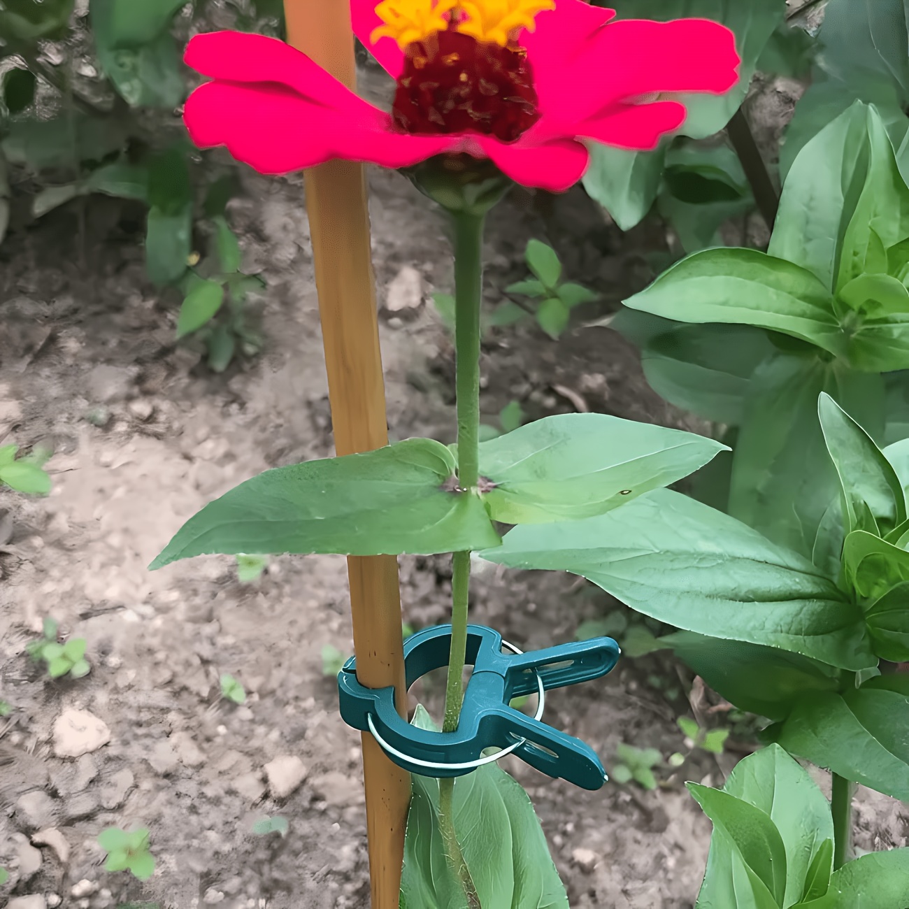 Gardening Tools Essential - 5個入り調整可能な植物クリップ、大小様々な再利用可能な花、つる性植物、野菜、トマトの園芸用支柱、耐久性のあるプラスチック製の必須園芸ツール