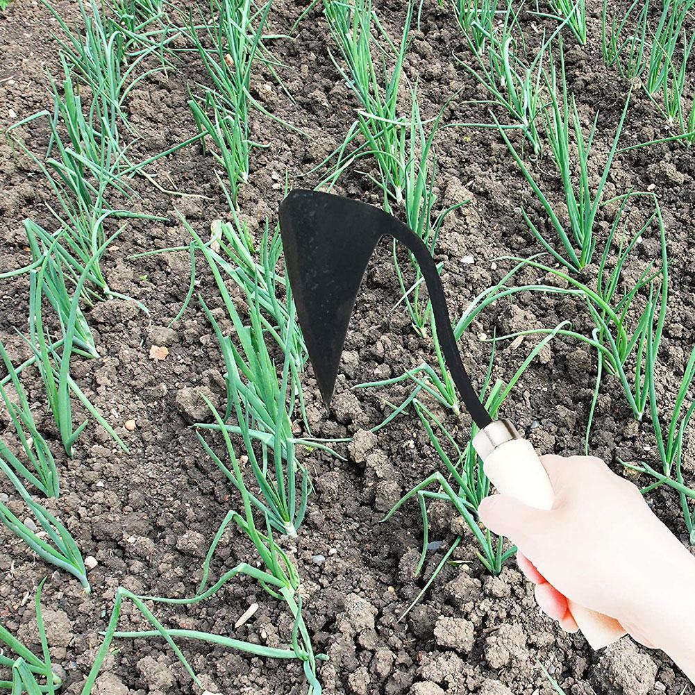 農具　三角鍬　家庭用農業除草鍬　植栽・野菜園芸用　土壌ほぐし - Gardening Tools Hoe のレビューと価格