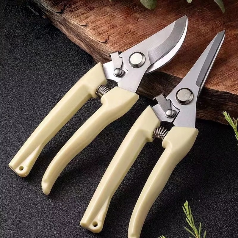 ステンレス鋼の剪定鋏、フラワーアレンジメント、果樹の枝切り、 - Gardening Tools To Cut Branches のレビューと価格