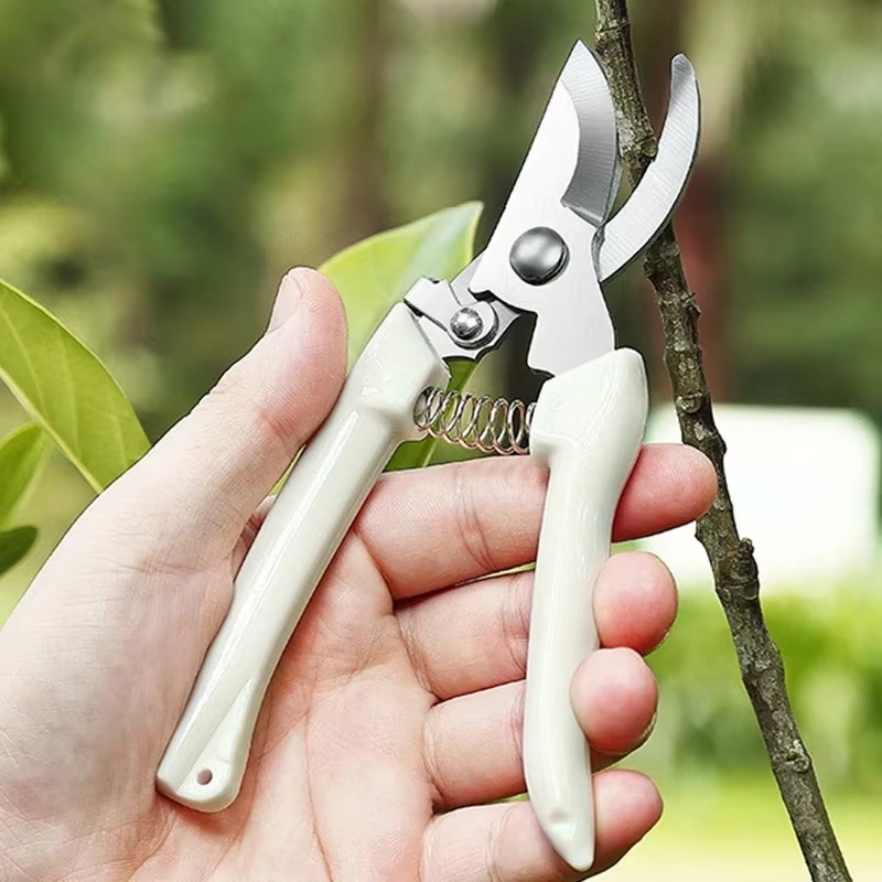 ステンレス鋼の剪定鋏、フラワーアレンジメント、果樹の枝切り、 - Gardening Tools To Cut Branches のレビューと価格