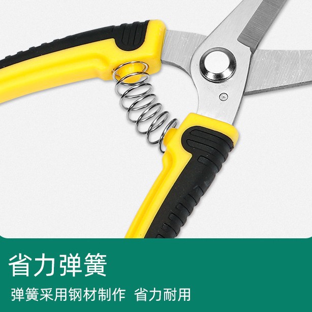 ステンレス鋼剪定花枝鋏園芸用果物切り木枝鋏園芸工具 - Gardening Tools To Cut Branches のレビューと価格