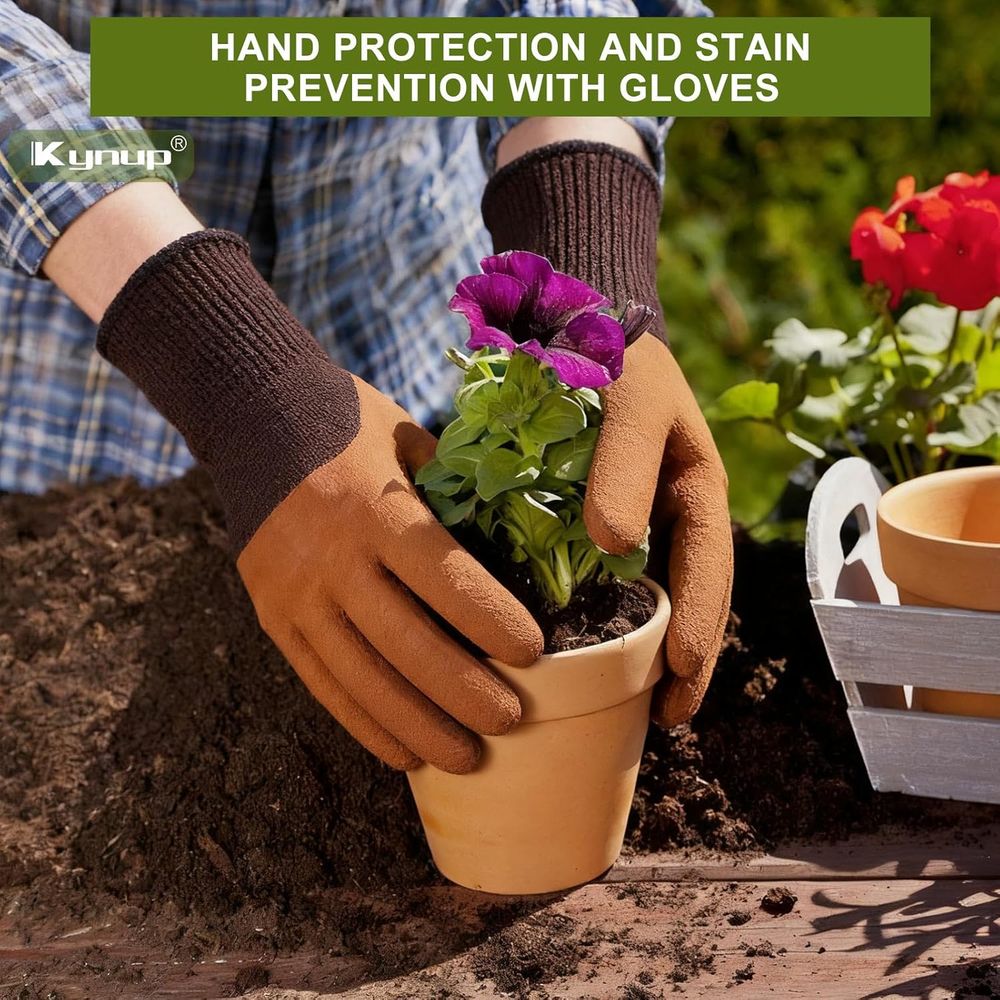 園芸工具セット（移植用シャベル、手用シャベル、園芸必需品、備 - Gardening Tools Essential のレビューと価格