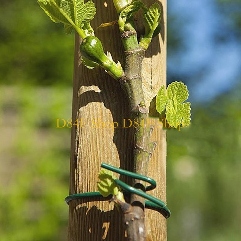 D84F 2.5 ミリメートル × 10 メートルグリーンソ - Garden Wire Twist Tie のレビューと価格
