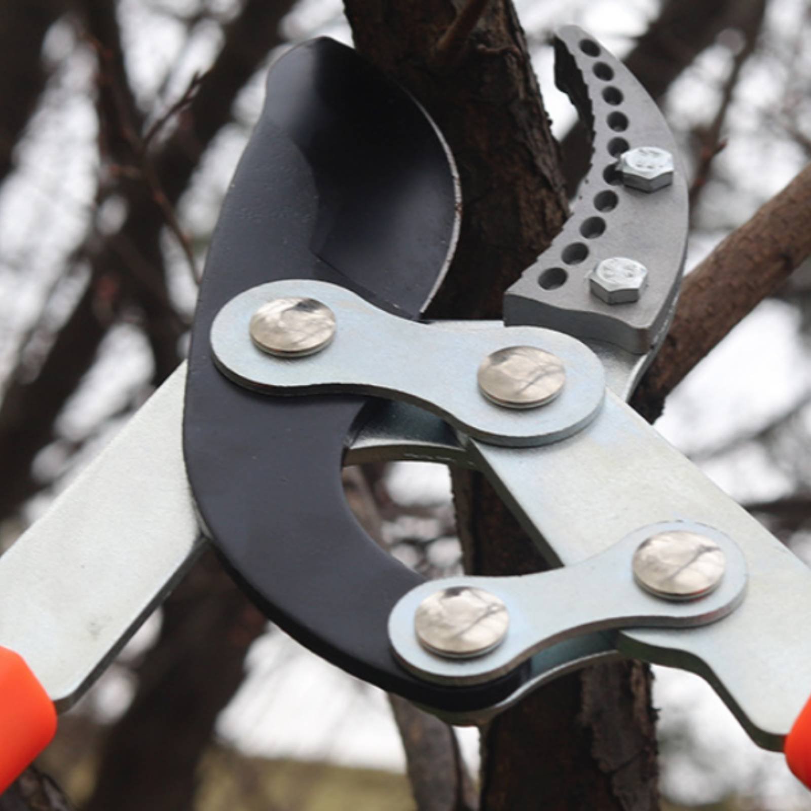 伸縮式枝切り鋏 シャープブレード 頑丈な木剪定鋏 剪定鋏 快 - Gardening Tool のレビューと価格
