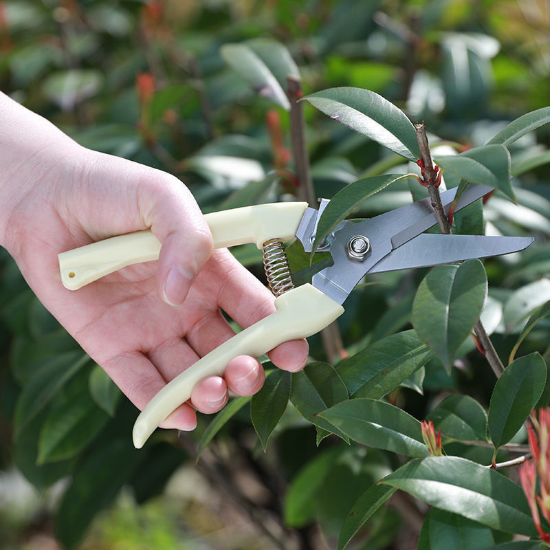 1PC ステンレス鋼剪定はさみ切断多機能花木の枝バイパス庭剪 - Gardening Tools To Cut Branches のレビューと価格