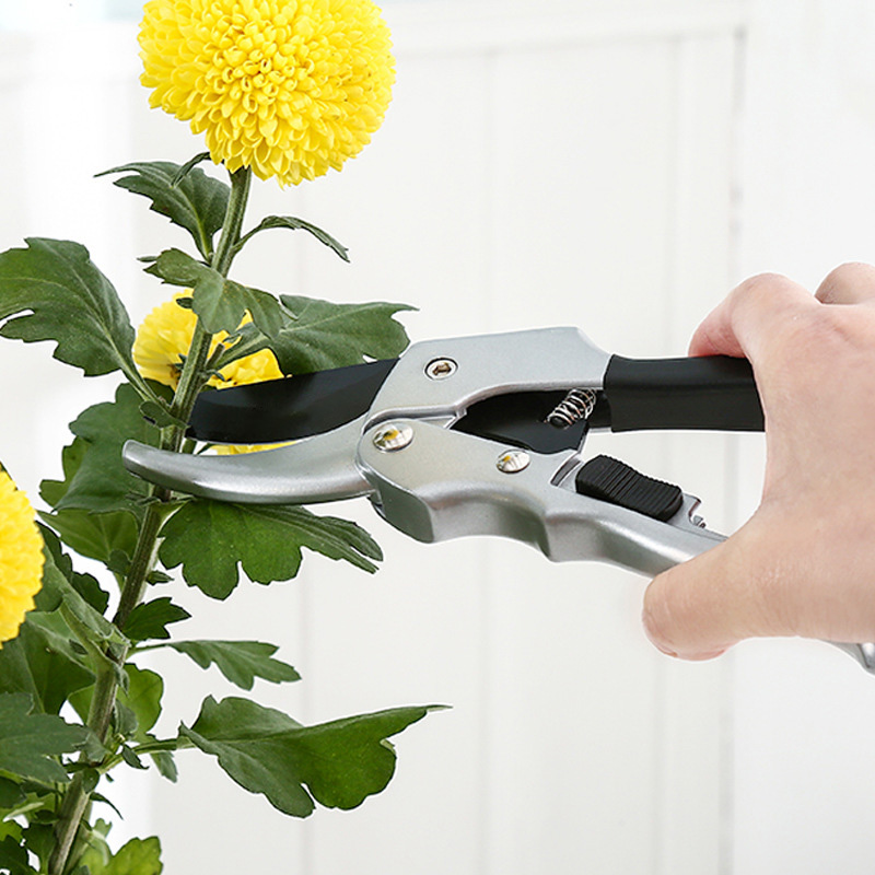 剪定ばさみ,剪定,ラチェット,植物トリム,庭の剪定ツール,新 - Gardening Tools To Cut Branches のレビューと価格