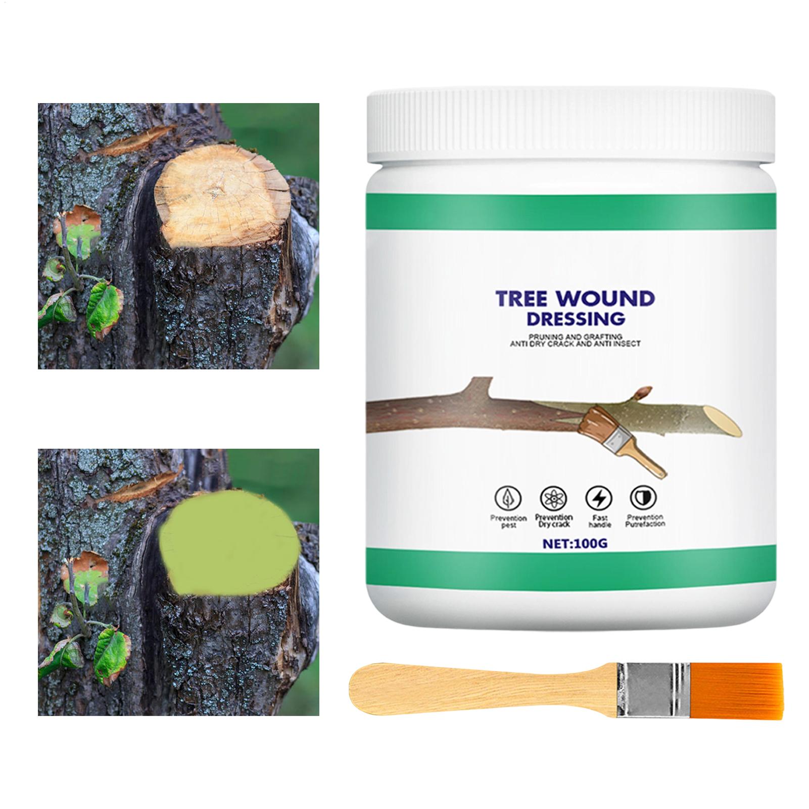 樹木接木用ペースト 樹木創傷用ペースト 涂抹剤 樹木剪定用シ - Gardening Tools Repair のレビューと価格
