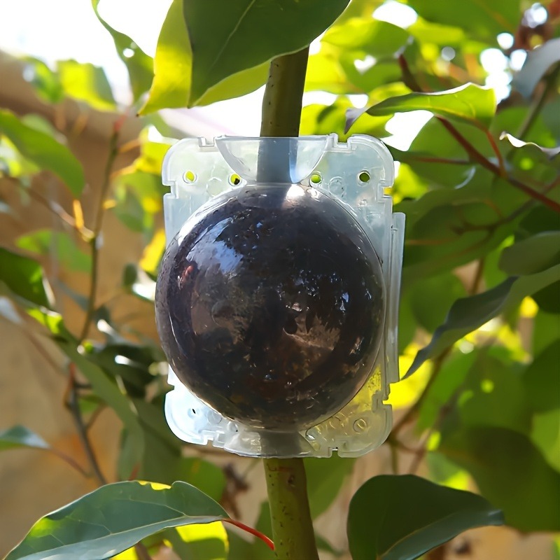 10個入り高圧植物発根繁殖ボックスキット、庭園用圧力ボール付 - Gardening Tools To Cut Branches のレビューと価格