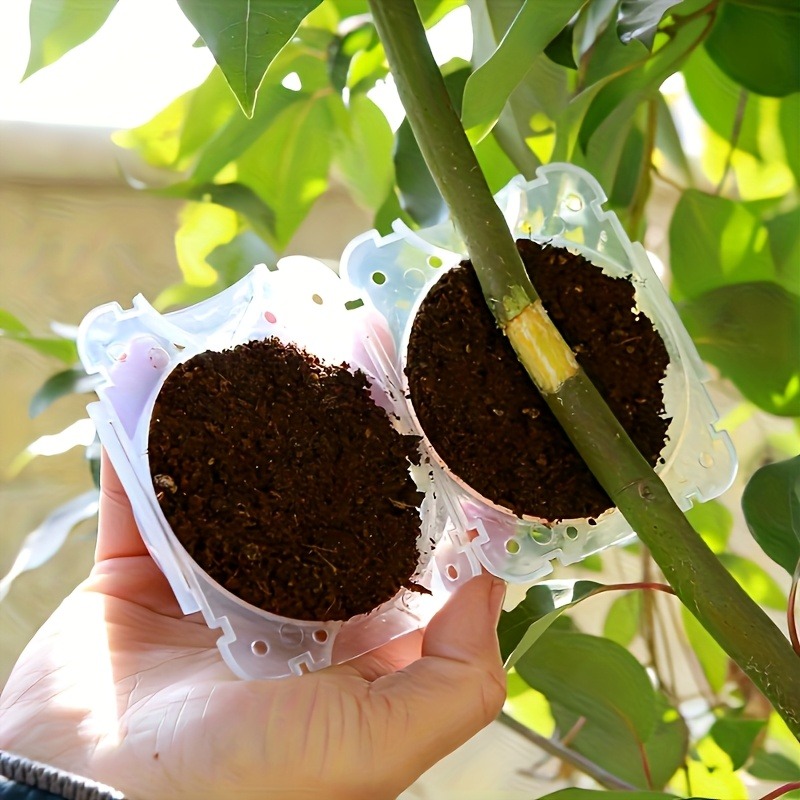10個入り高圧植物発根繁殖ボックスキット、庭園用圧力ボール付 - Gardening Tools To Cut Branches のレビューと価格